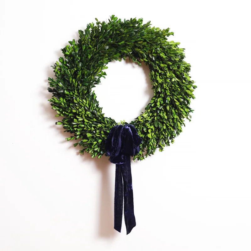 Primrue Preserved Boxwood with Ribbon 22" Greenery Wreath & Reviews | Wayfair | Wayfair North America