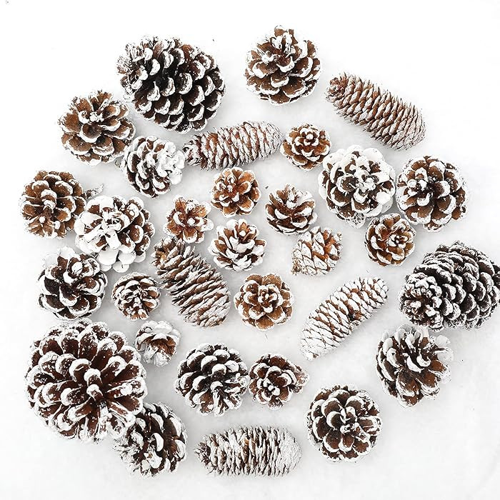 Whaline 43pcs Christmas Pine Cones Natural Snow Pinecones Xmas Tree Ornament Garland Wreath DIY C... | Amazon (US)