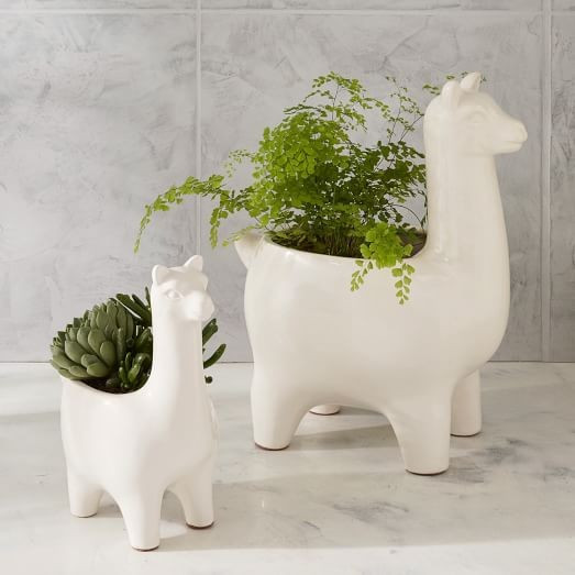 Ceramic Llama Planters | West Elm (US)