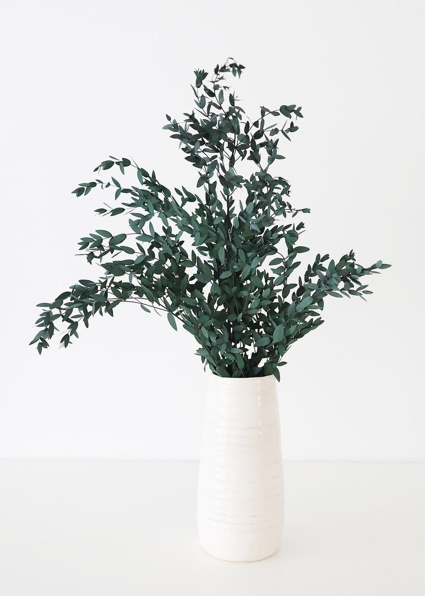 Shop New Dried Bundles | Afloral (US)