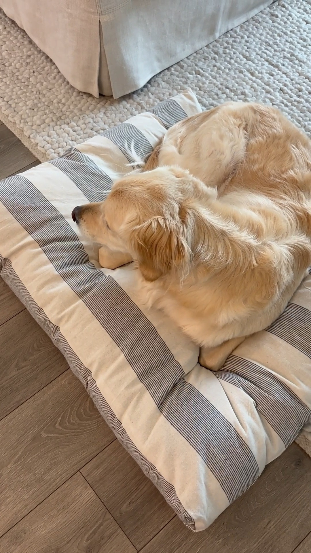STRIPES!!! On a dog bed with no paw print is literally my love language lol. It does have a zipper so you can wash too!

#LTKvlog #LTKHome #LTKstorytime