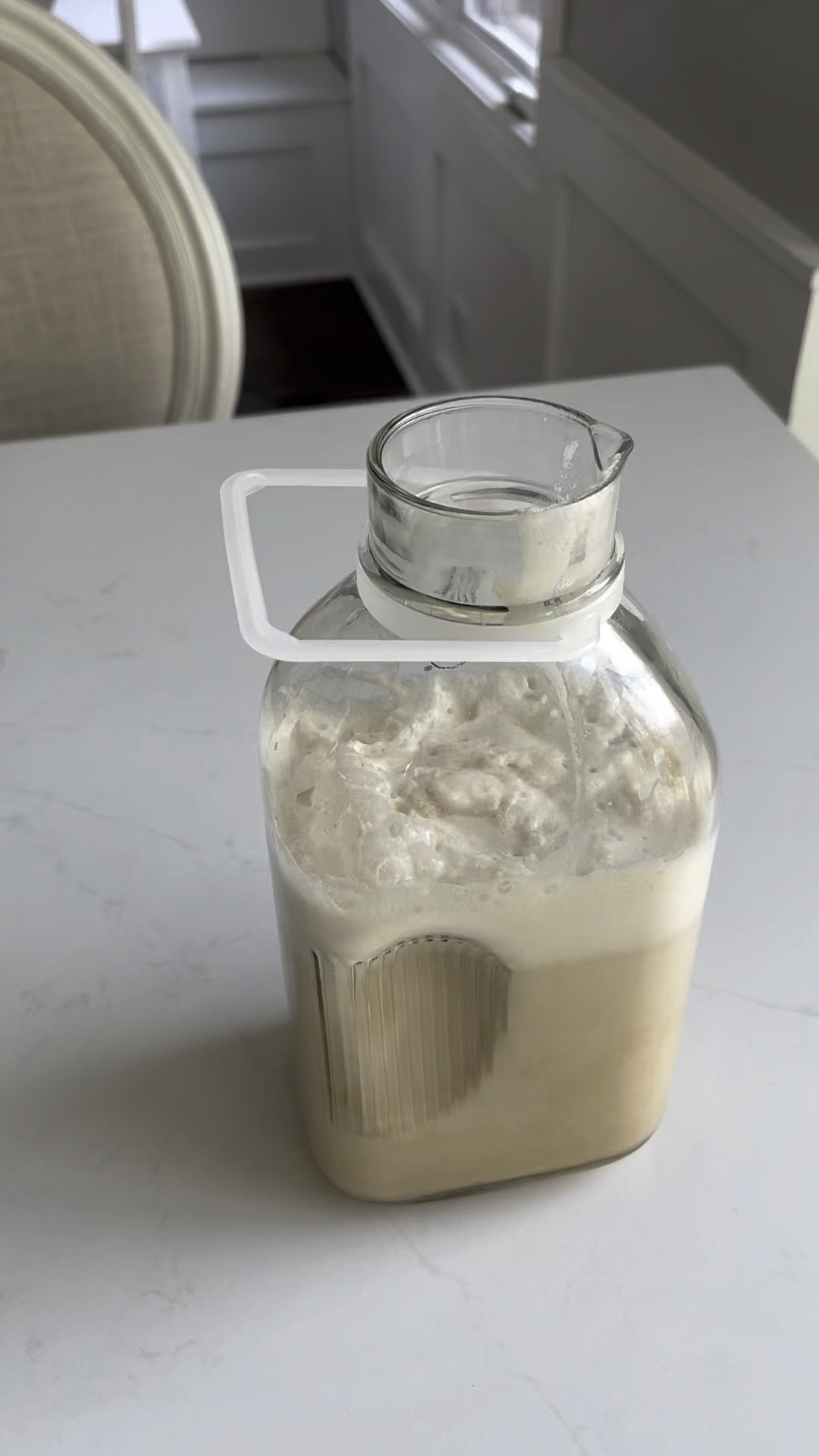 Did you know most commercial nut milks have weird fillers and gums?

I’m talking seed oils, guar/xantham gum, emulsifiers, and sugars.

Some even advertise themselves as “pasteurized,” as if they need to be heated to kill off bacteria?!

Milks made with plants have no bacteria that need to be pasteurized. Only milks that come from animals do. And some might even argue that point.

When I didn’t read/understand ingredient labels, I used to think nuts hurt my tummy because every time I had nut milk I’d get an upset stomach.

Then I realized it was the junk I was ingesting IN the nut milk, not the nuts themselves, that made me feel unwell.

Enter: my homemade nut milk era

I’m OBSESSED with my homemade milks and creamers. 

After experimenting with almond, cashew, pecan, and walnut, I can confidently say pecan milk is my all time favorite. The flavor. The creaminess. It’s a winner.

I do love a cashew creamer tho as a heavy cream substitute. 👀

I get all my nuts at Costco. It’s $15 for a massive bag that I go through in about 2 months. Definitely saving money by homemaking my milks too.

Do yourself a favor and look into homemaking your nut milk too. Whether it’s with an almond cow, a nutr, or even a cheese cloth. It’s better for you and your gut.

#LTKfamily #LTKVideo #LTKhome