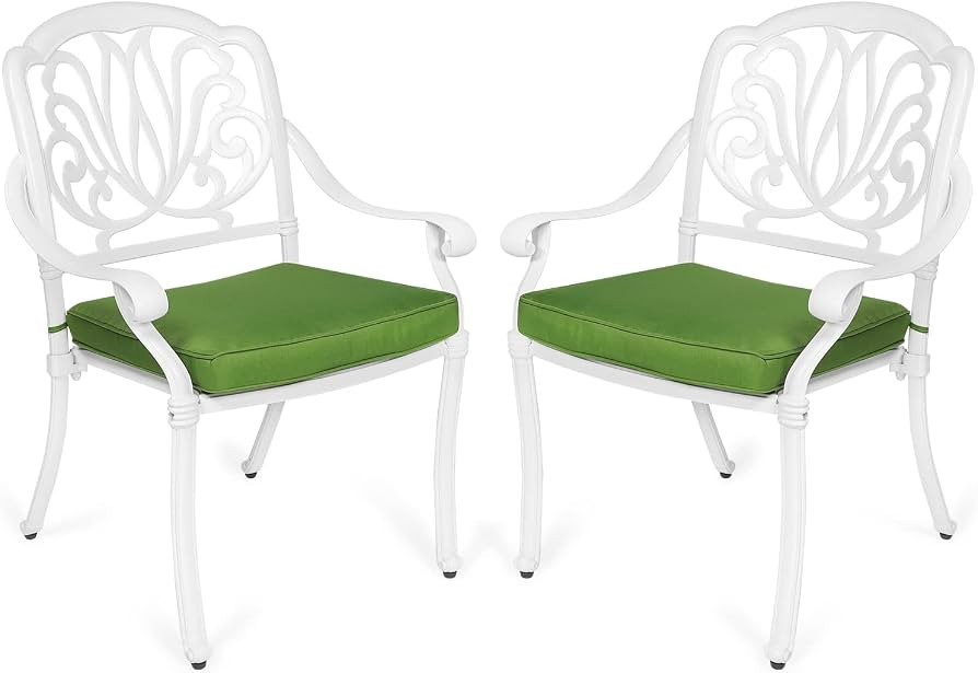 MEETWARM 2 Piece Patio Dining Chairs, Outdoor All-Weather Cast Aluminum Chairs, Patio Bistro Dini... | Amazon (US)