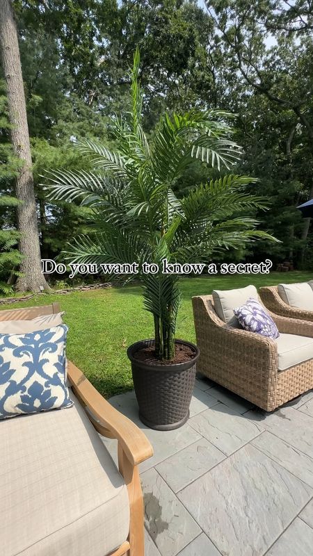 My artificial UV resistant palm trees are currently on sale. Patio, backyard oasis, pool, outdoor living. Tropical decor. Shown in 6.5 ft height. Available in different heights.

#LTKhome #LTKsalealert #LTKVideo