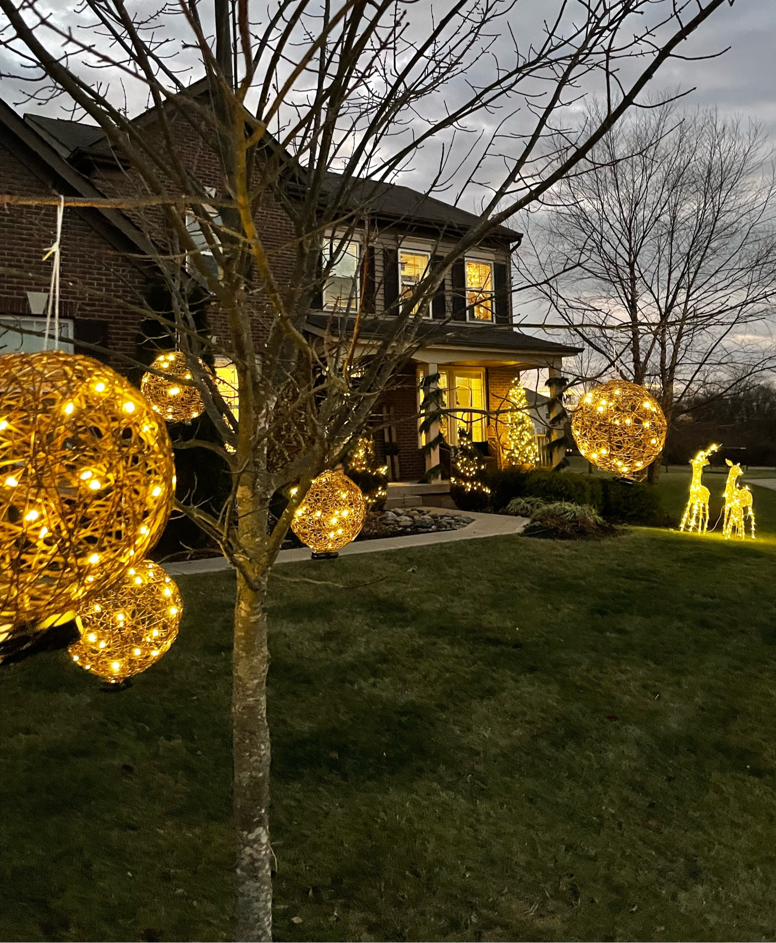 We got some of these twine balls last year and hung them on a tree in our front yard...

#LTKSeasonal #LTKhome #LTKHoliday