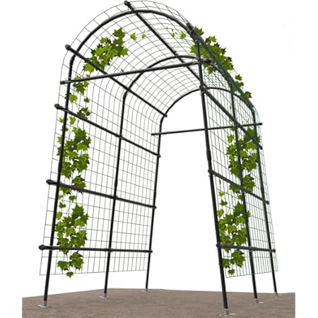 lalahoni | Amazon (US)