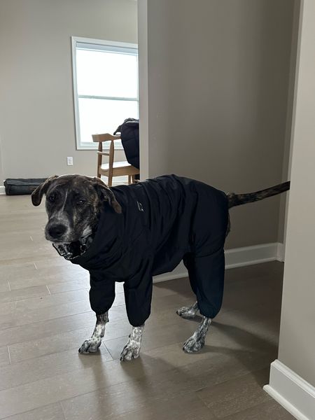 Olives new snow suit for hikes! Ok sale rn! She is 53ish lbs, 23 in length & 27 in chest size & wears 24 with room to grow in to! 

#dog #dogcoat #chewy

#LTKsalealert #LTKunder100 #LTKSeasonal