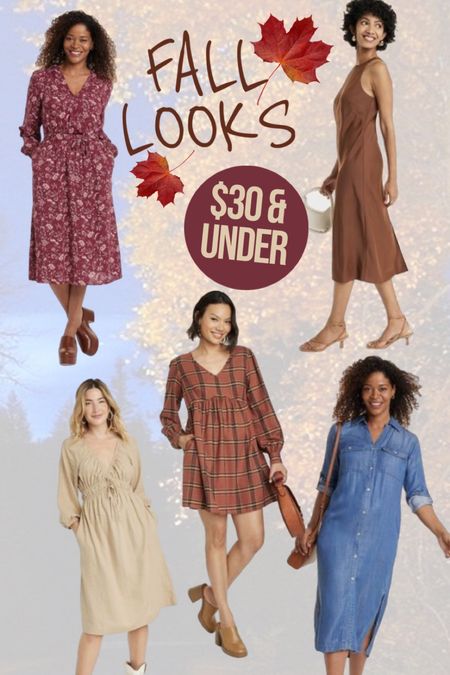 Fall Dresses & looks for $30 and under! Perfect transitional pieces! 

#LTKSeasonal #LTKfindsunder50 #LTKstyletip