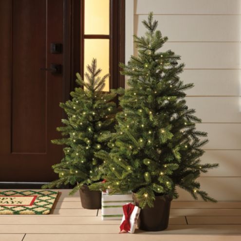 Prelit Grandis Fir Potted Exterior Christmas Tree | Ballard Designs, Inc.