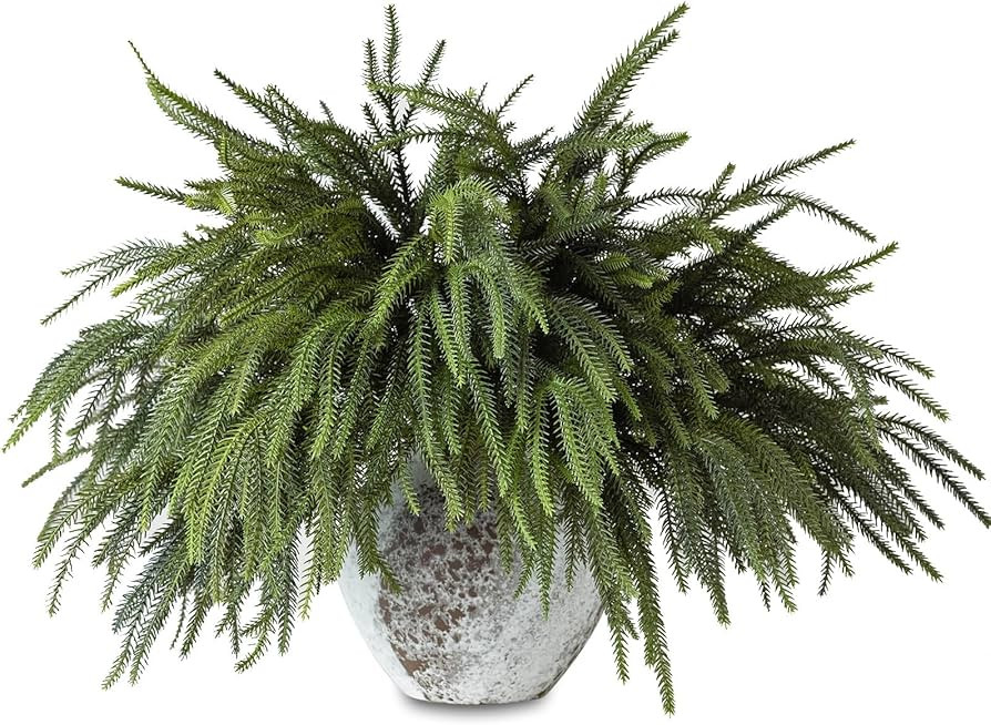 mizii Christmas Decorations 6Pcs Artificial Norfolk Pine Branches 22in Faux Greenery Stems Real T... | Amazon (US)