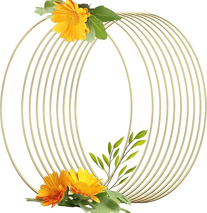 10Pcs Gold Macrame Dream Catcher Rings, Bettoor Metal Hoops DIY Floral Macrame Hoop for Wall Hang... | Amazon (US)