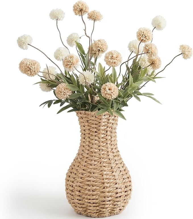 Ctosree Small Wicker Vase for Flowers, 8 Inch Lightweight Woven Farmhouse Boho Tabletop Vase, Rus... | Amazon (US)
