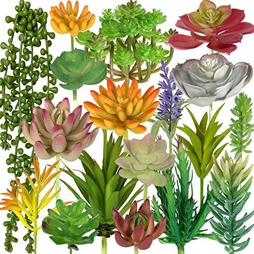 Faux succulents | Amazon (US)
