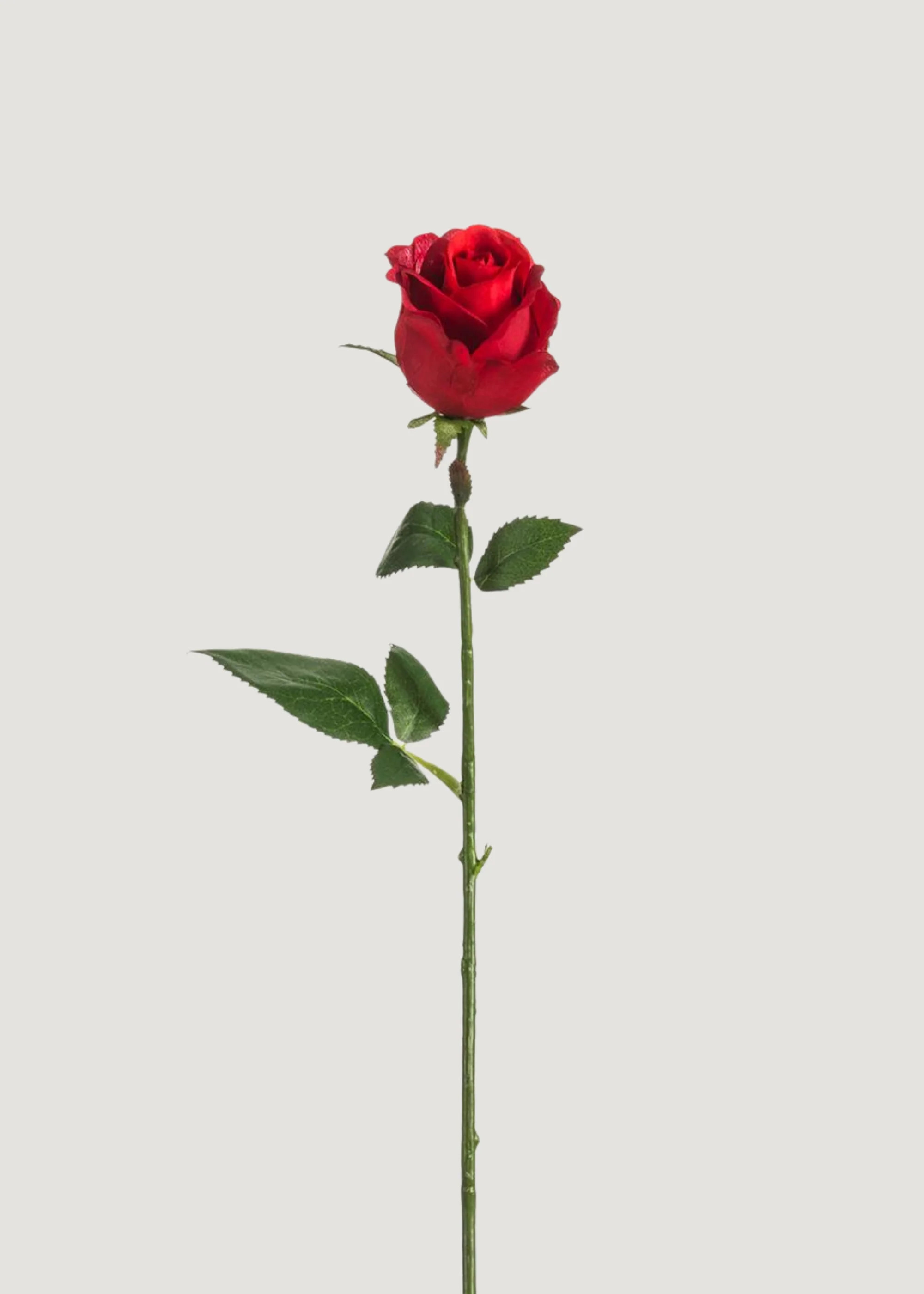 Fake Rose Bud Flower in Red - 17.5" | Afloral