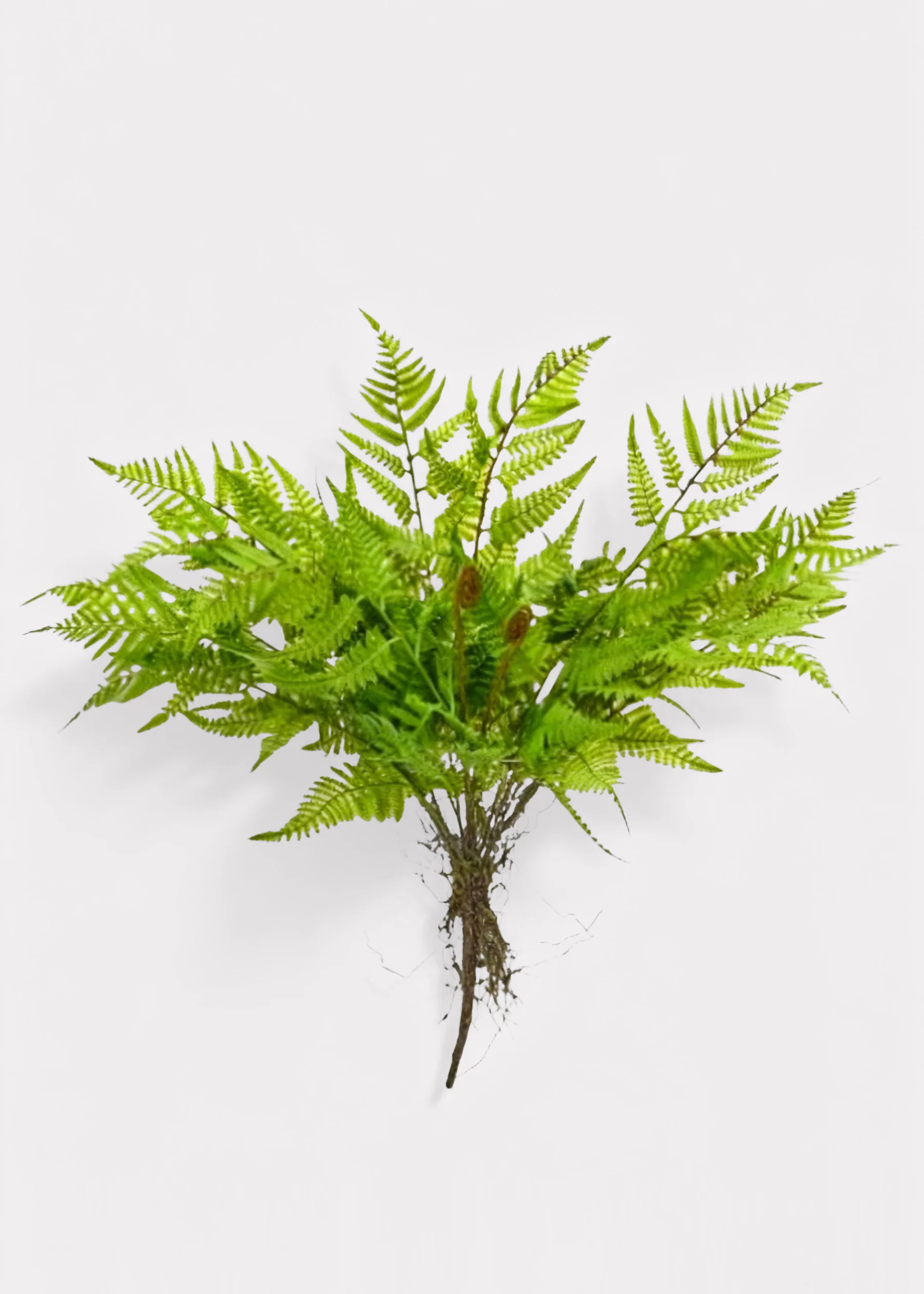 Natural Touch Artificial Leather Fern Plant - 18" | Afloral