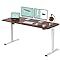 FLEXISPOT EC1 Essential 60" Large Height Adjustable Standing Desk, Electric Sit Stand Desk Home O... | Amazon (US)
