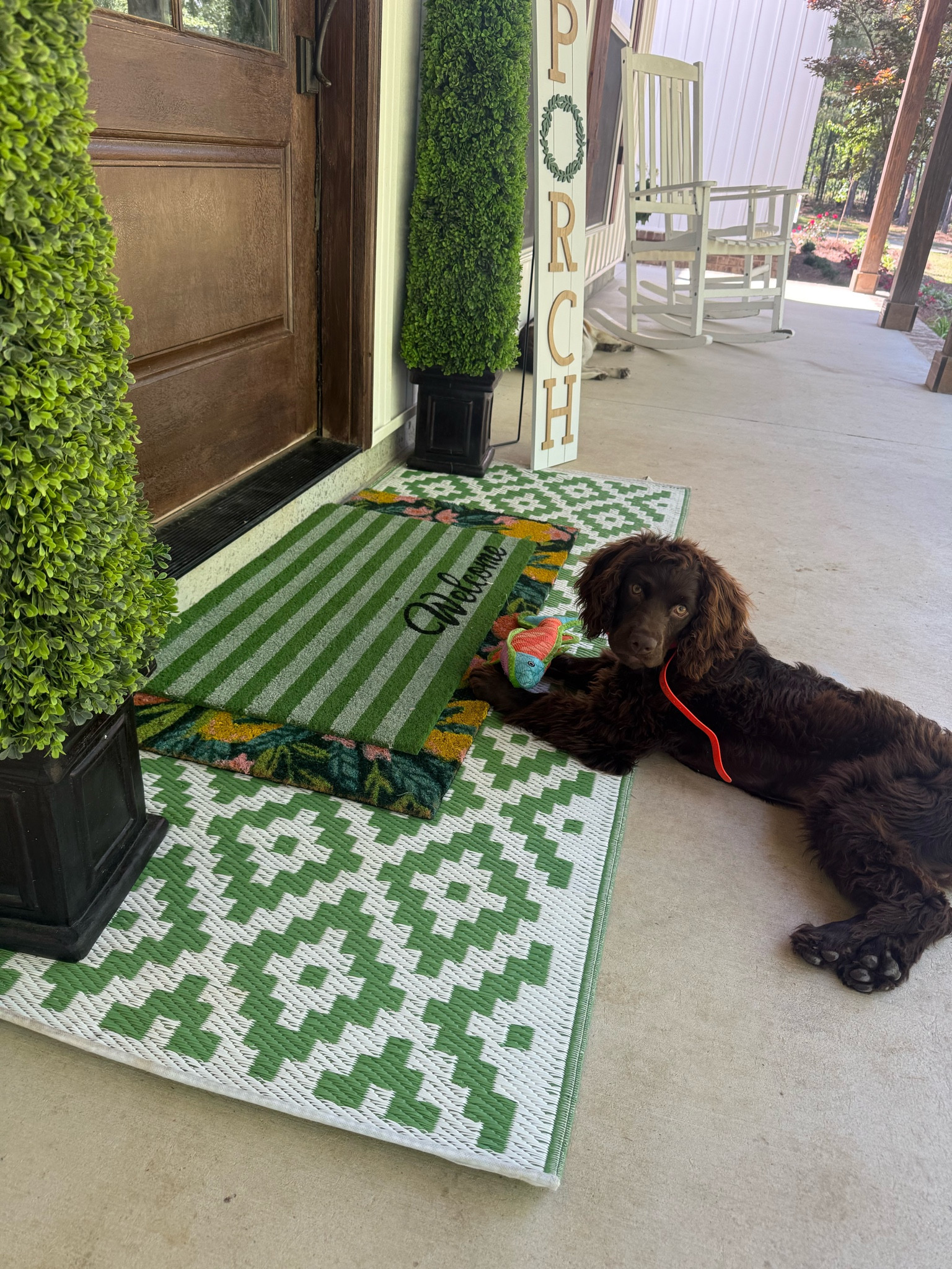 Outdoor decor💚🌞

#LTKdayinmylife #LTKSeasonal #LTKHome