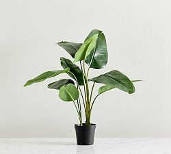 Faux Banana Leaf Tree | Pottery Barn (US)