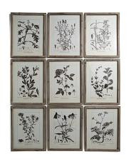9pc 14x17 rustic foliage study wall art set | TJ Maxx