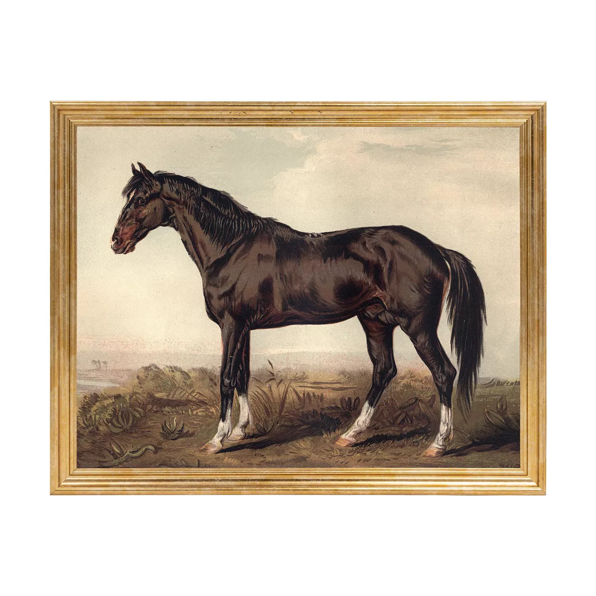 Belle Maison 11"" x 14"" Horse Wall Art Under Glass, Gold | Kohl's