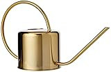 Kikkerland WC01 Vintage Watering Can | Amazon (US)