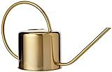 Kikkerland WC01 Vintage Watering Can | Amazon (US)