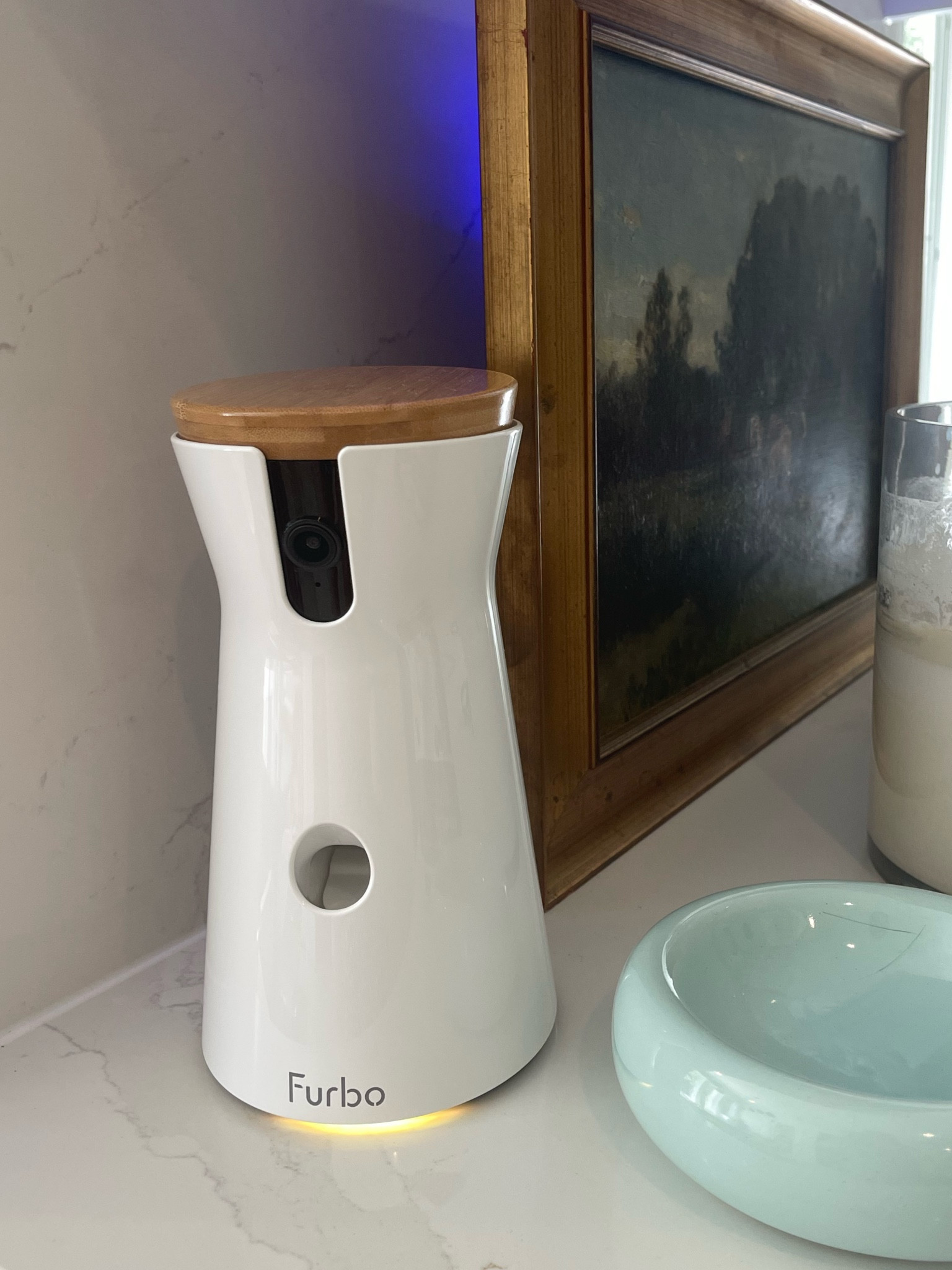 Yes I have a Furbo for my cat hahaha 10/10 recommend 

#LTKxPrimeDay