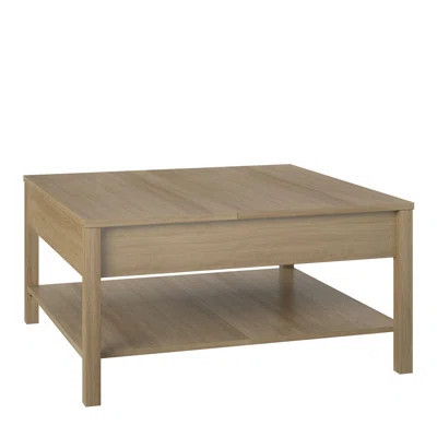 Shenorock Lift Top Coffee Table | Wayfair North America