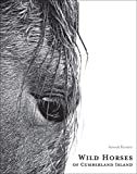 Wild Horses of Cumberland Island    Hardcover – May 5, 2020 | Amazon (US)