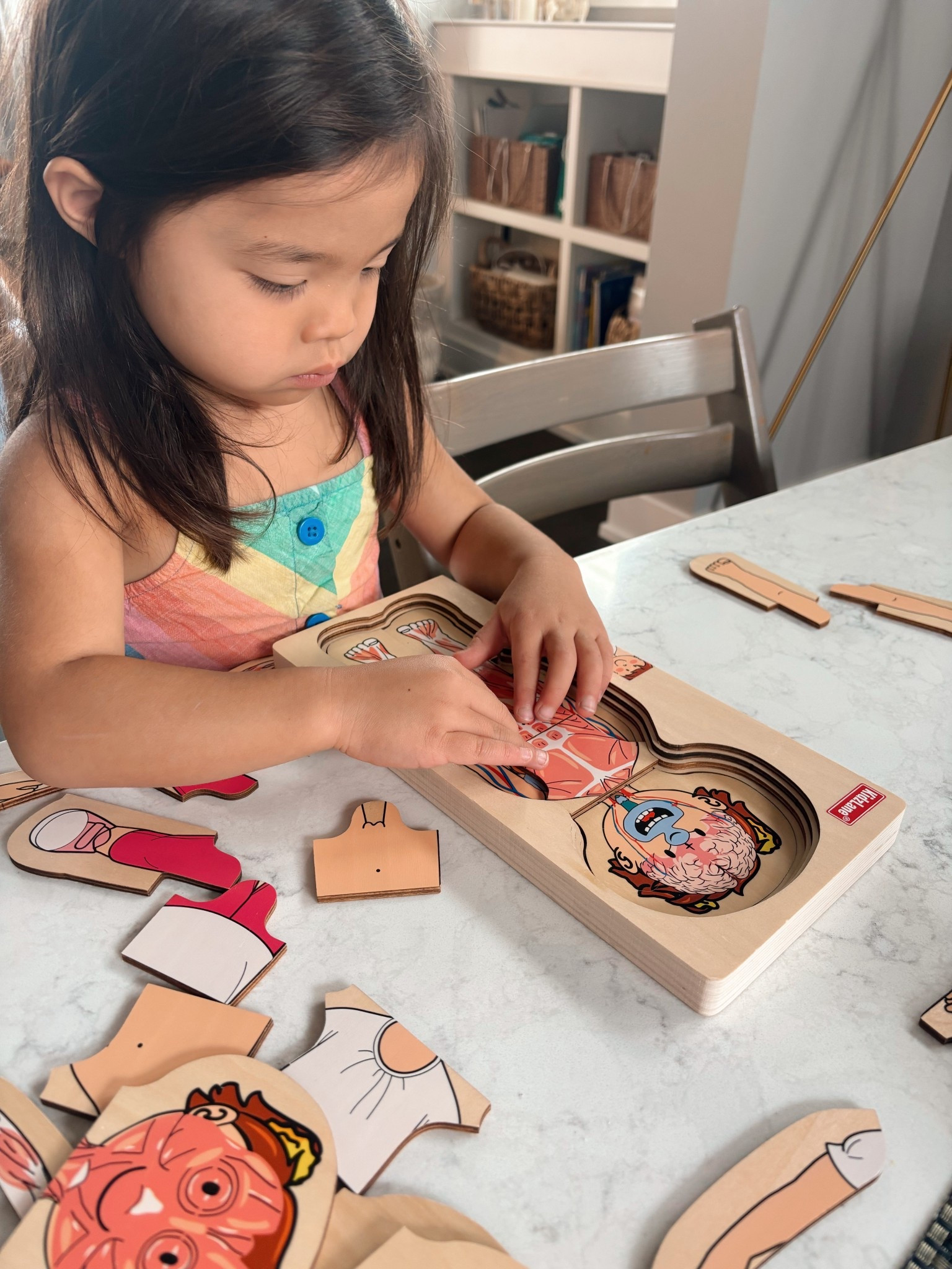 Layered human body puzzle 🧩 Diverse array of options and a great way to help littles visualize anatomy!

#LTKKids #LTKFamily #LTKBaby