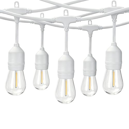 HOMESTEAD 48FT Outdoor String Lights, IP65 Waterproof LED Patio Lights with 24+2 Spare E26 Flexible Filament Edison Bulbs, 2200K Warm White Outside Hanging Lighting for Backyard, Porch, Deck & Garden | Amazon (US)