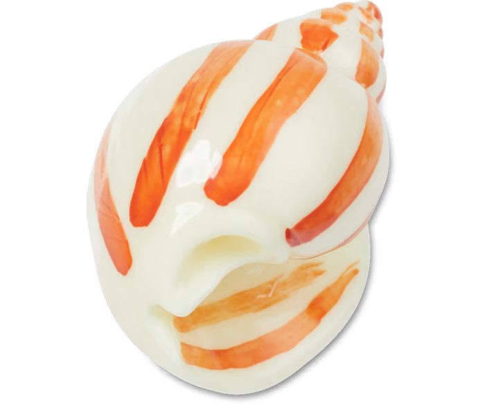 Natural Conch Shell | Crocs (US)