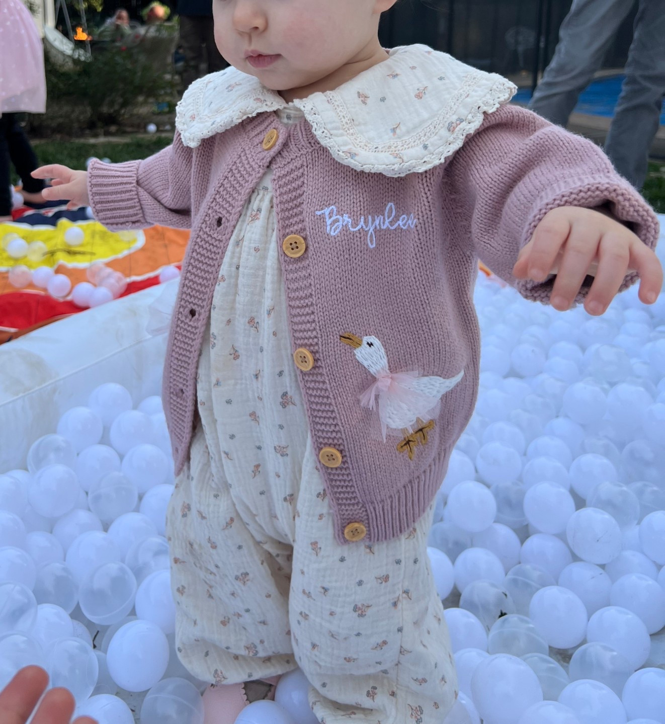 ONE Silly Goose 
First birthday outfit 
Baby girl outfit 
Goose sweater

#LTKBaby #LTKmomlife #LTKKids