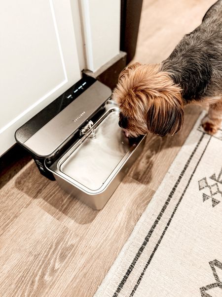 Keep your pet hydrated this summer with a ultrafiltration pet water fountain. Amazon Finds  

#LTKstyletip #LTKfindsunder100 #LTKhome