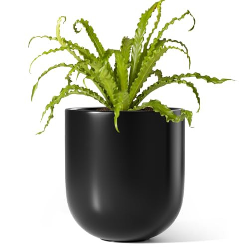 LE TAUCI 6 Inch Ceramic Plant Pot, Small Indoor Planter, Black | Amazon (US)