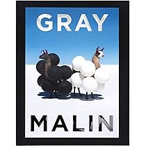 Gray Malin: The Essential Collection | Amazon (US)