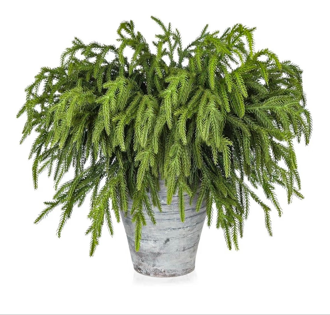 Outdoor faux plants for winter

#LTKHoliday #LTKSeasonal #LTKHome