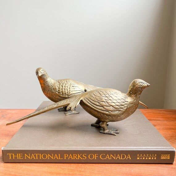 Pair of Large Vintage Brass Pheasants Brass Bird Decor MCM - Etsy | Etsy (US)