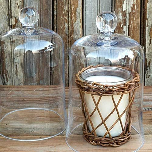 Glass Cloche Bell Jar - Plant Terrarium - Centerpiece Dome Display | Amazon (US)