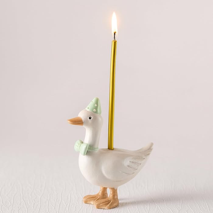 Silly Goose Cake Candle Holders with Birthday Candle One Birthday Party Supplies Mini Cute Cake T... | Amazon (US)