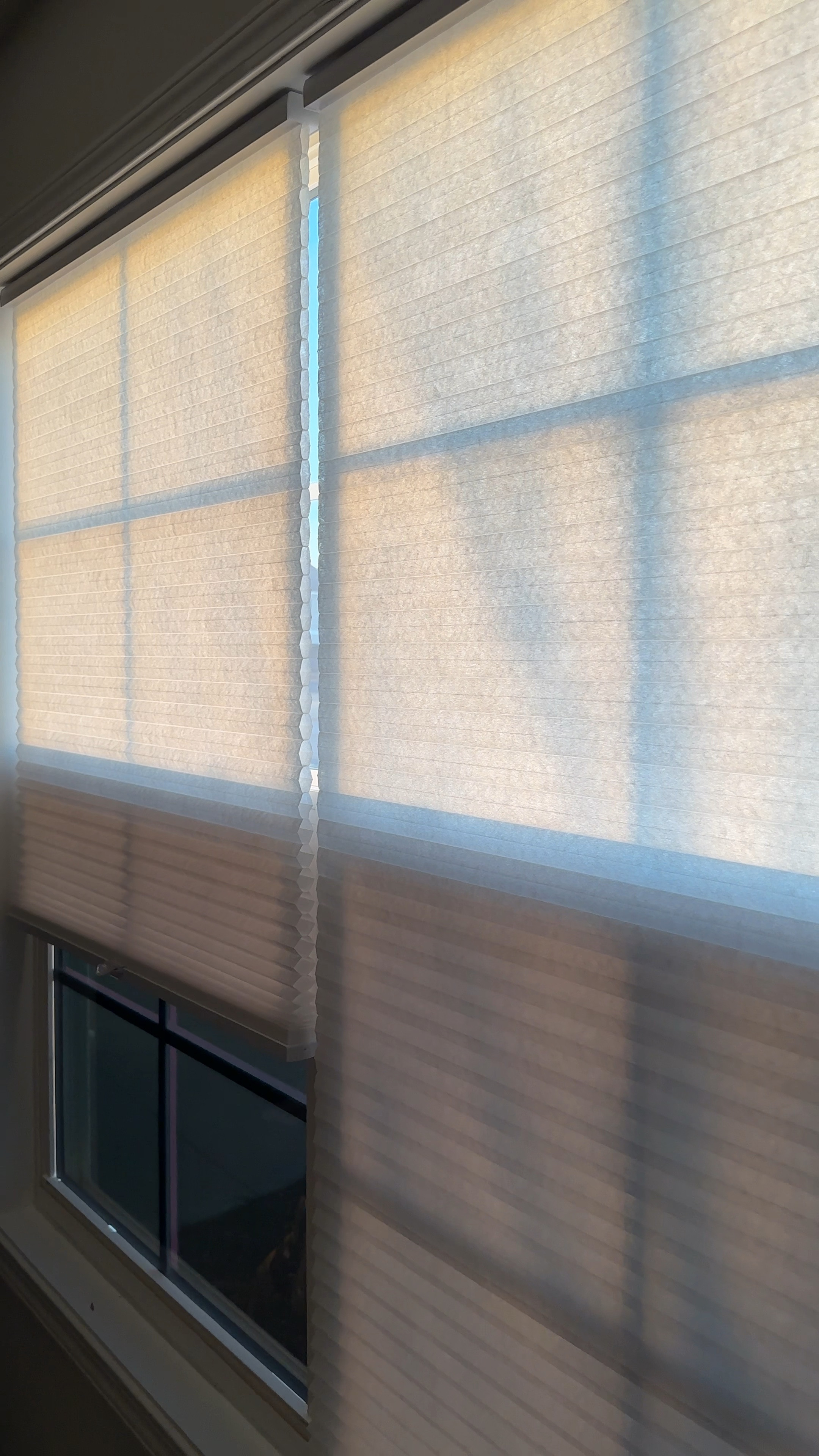 Honeycomb window blinds! We’ve had these for 6 months and love them! 

#LTKVideo #LTKhome #LTKfindsunder50