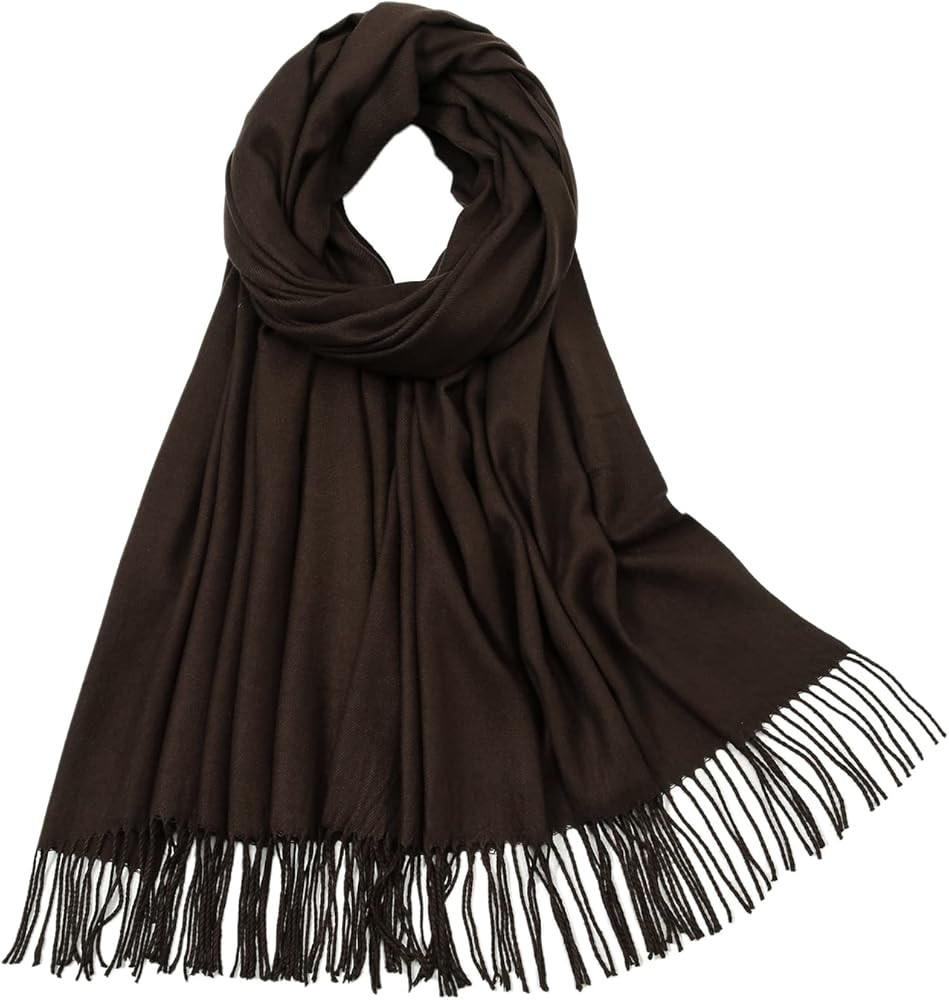 RIIQIICHY Women's Scarf Pashmina Shawls and Wraps for Evening Dress Bridesmaid Wedding Bridal Win... | Amazon (US)