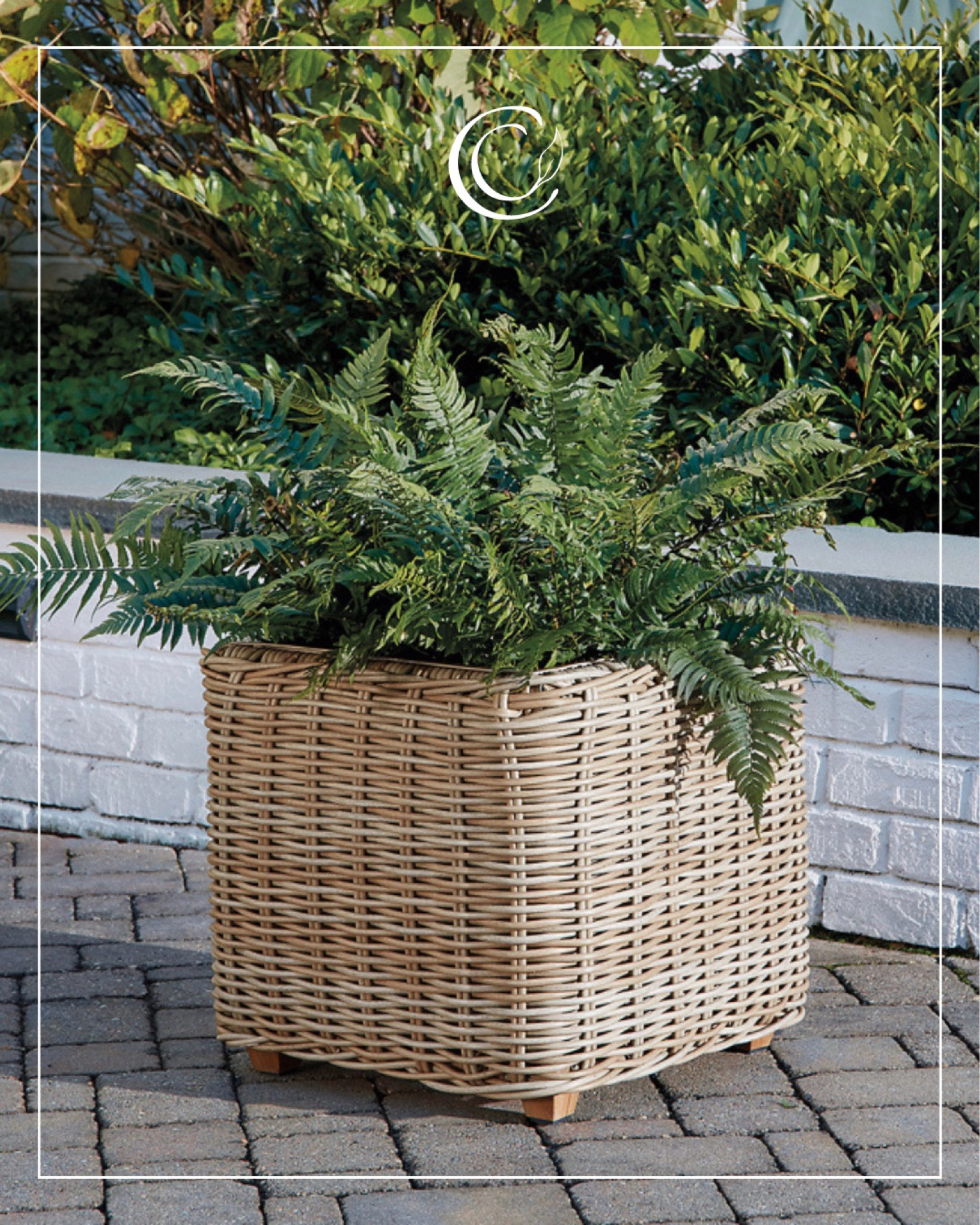 All-weather wicker planter

#LTKhome #LTKFind #LTKSeasonal