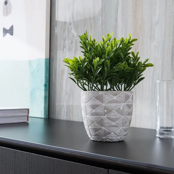 9.5" Artificial Boxwood Plant in Pot | Wayfair Professional