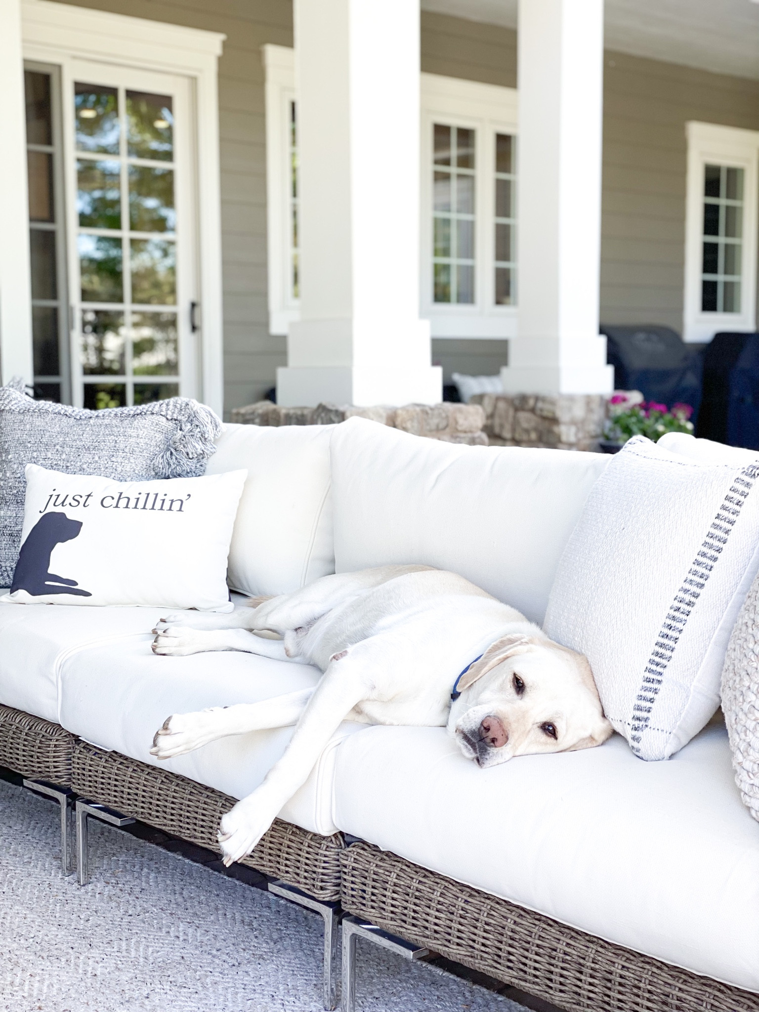 New Outdoor Pillows from PotteryBarn just released!  Patio season, outdoor patio

#LTKhome #LTKSeasonal #LTKunder100