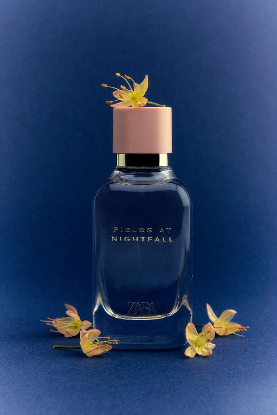 FIELDS AT NIGHTFALL | Zara US