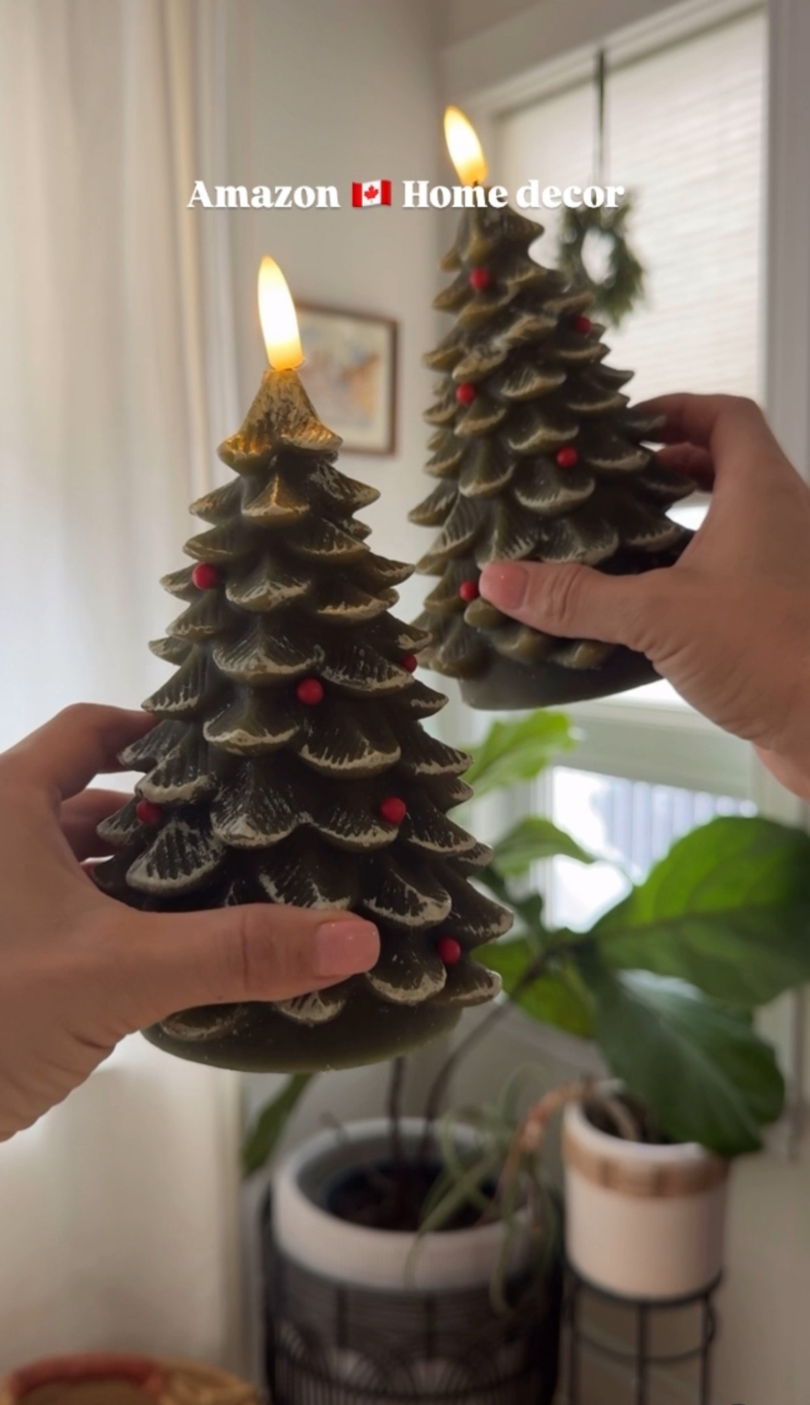 Recent home finds from Amazon 🇨🇦 

#LTKhome #LTKstyletip #LTKcanada