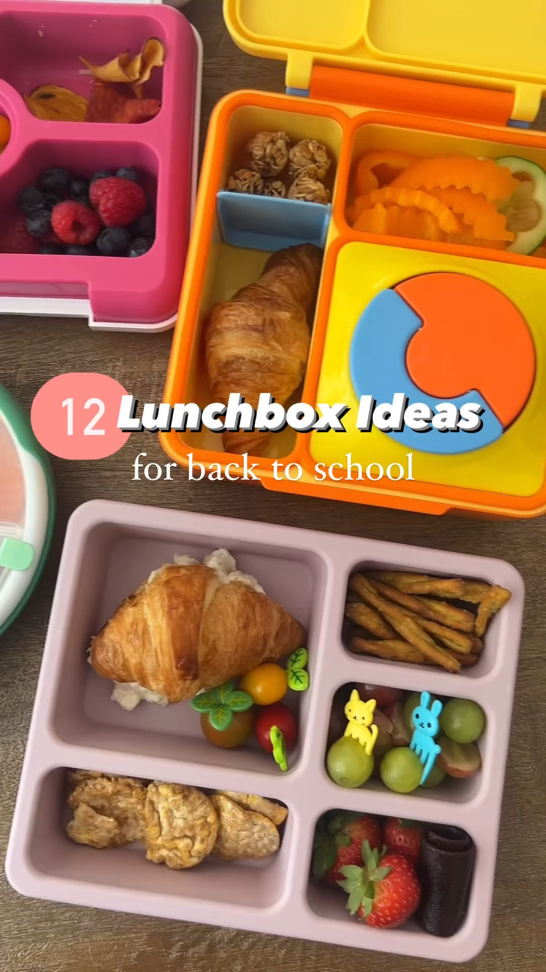 My favorite lunchbox gear for back to school! 🚌🥐🍓🫐🥒
