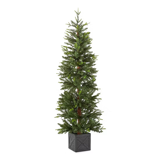 North Pole Trading Co. 5' Potted Burlington Fir Pre-Lit Christmas Tree | JCPenney