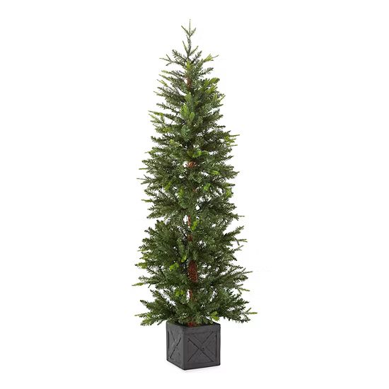 North Pole Trading Co. 5' Potted Burlington Fir Pre-Lit Christmas Tree | JCPenney